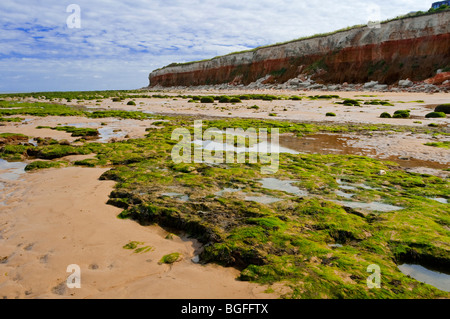 View of the sandy beach and cliffs at Hunstanton in north west Norfolk England UK with seaweed covered rocks in the foreground Stock Photo