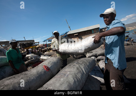 Young dock workers loading charcoal at the port in Gonaives, Artibonite Department, Haiti Stock Photo