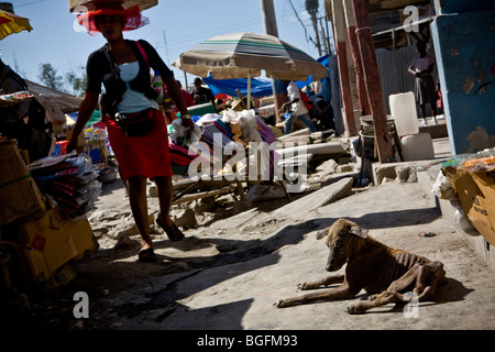 Street scene in Gonaives, Artibonite Department, Haiti showing an emaciated dog. Stock Photo