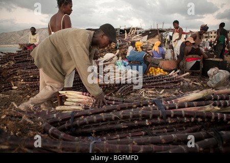 Dock worker bundling sugarcane at the port in Gonaives, Artibonite Department, Haiti Stock Photo