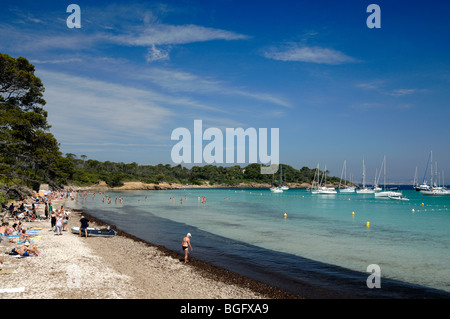 Sandy Beach & Bay of Plage d'Argent, Île de Porquerolles or Island, Îles d'Hyères, Var, Côte d'Azur, French Riviera, France Stock Photo