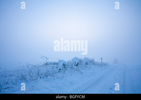 Snow tracks and fog in Litchfield Hampshire UK Stock Photo