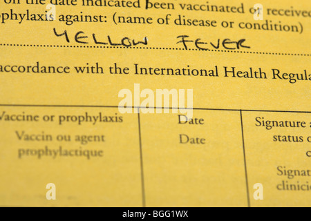 international certificate of vaccination or prophylaxis document for yellow fever vaccine Stock Photo