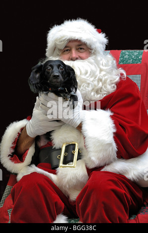 Portrait of Santa Claus with a long haired Dachshund dog Stock Photo