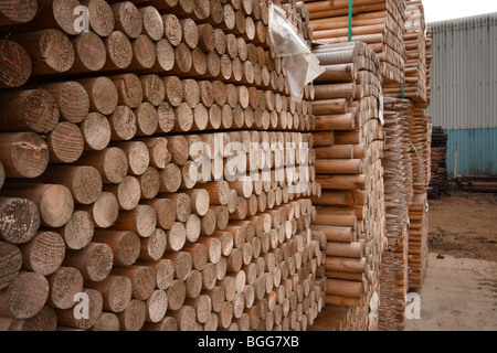 Modern treated wooden fencing in stacks at timber Merchants, England Stock Photo