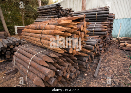 Modern treated wooden fencing in stacks at timber Merchants, England Stock Photo