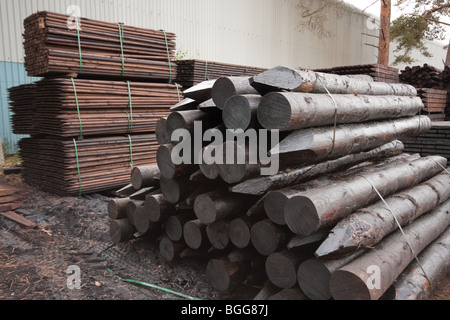 Modern treated wooden fencing in stacks at timber Merchants, England Stock Photo