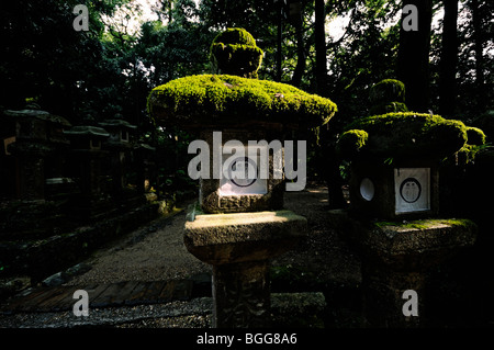 Mossy stone lanterns leading to the Main Shrine. Kasuga-taisha Shrine (aka Kasuga Shrine). Nara City. Nara Prefecture. Japan Stock Photo