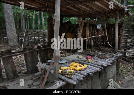 Native American Monacan Indian village in Natural Bridge Virginia  North America US historical lifestyle nobody horizontal in USA US hi-res Stock Photo