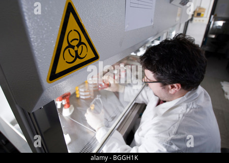 Stem cell research Max Planck Institute for Molecular Genetics scientist laboratory technician cultivating stem-cells Berlin Stock Photo