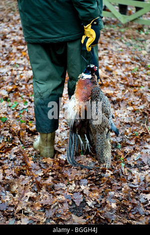 man carrying brace of shot pheasants on driven shoot
