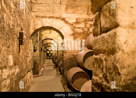 Wine casks in a wine cellar, Elciego, Spain Stock Photo