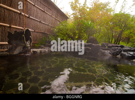 Hakone Ginyu. Traditional Japanese ryokan and spa. Hakone, Japan Stock Photo