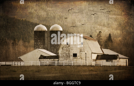 This rural farm with barn and silos can be seen along the Mt. Baker Highway near Black Diamond, Washington. Texture layer added. Stock Photo