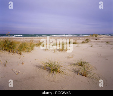 INDIANA - Sand along the shore of Lake Michigan in Indiana Dunes National Lakeshore. Stock Photo