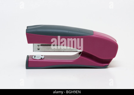 479 Purple Stapler Stock Photos - Free & Royalty-Free Stock Photos from  Dreamstime