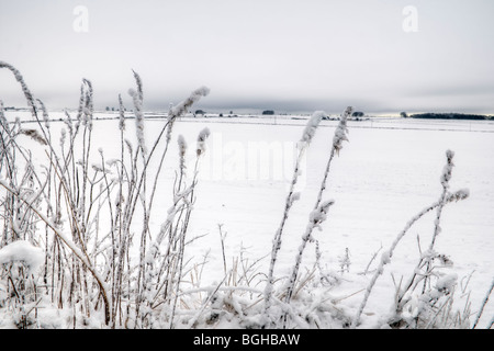 Snowy rural scene of open landscape taken near Dunkirk on the edge of the Cotswold at the a433 junction Stock Photo