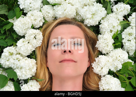 Young woman laying in flowers - snowballs Stock Photo