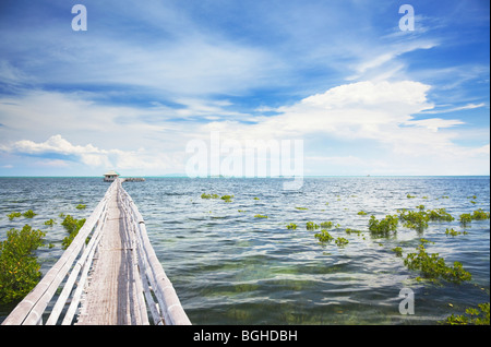 Bamboo Pier Panglao Island; Bohol; The Visayas; Philippines Stock Photo