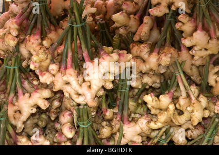 Fresh ginger for sale at a roadside market near Mae Sot, Thailand Stock Photo