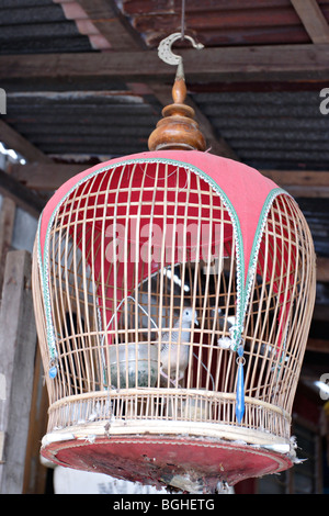 Traditional bird cage in Malaysia and Thailand. Stock Photo