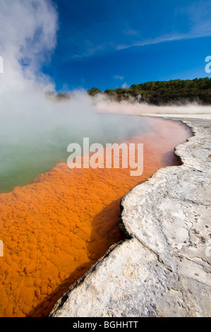 Wai-O-Tapu Thermal Wonderland, North Island, New Zealand Stock Photo