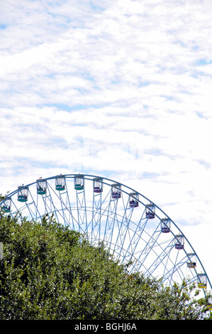 Dallas ferris wheel (Texas) - the largest ferris wheel in the US Stock Photo