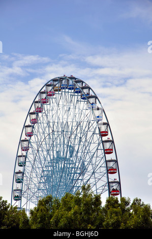 Dallas ferris wheel (Texas) - the largest ferris wheel in the US Stock Photo