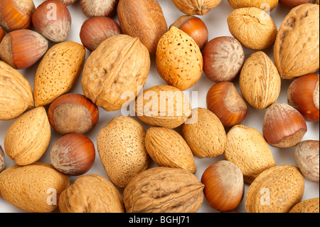 Collection of pecan nuts, hazelnuts and walnuts Stock Photo