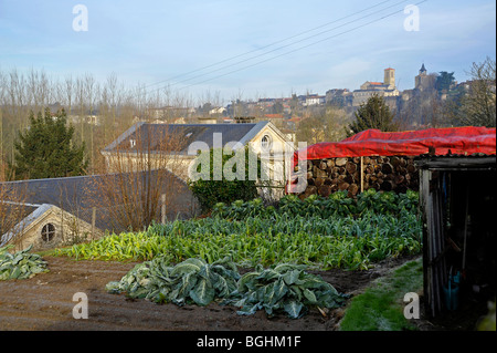 Allotment and wood pile in Parthenay Deux-Sevres France Stock Photo