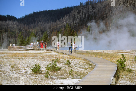 The burned area from the Yellowstone forest fires of 1988 near a geyser basin near Old Faithful, in Yellowstone National Park Stock Photo