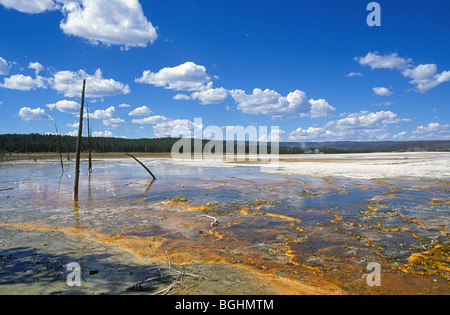 Mineral filled water at a geyser basin near Old Faithful, in Yellowstone National Park, Wyoming Stock Photo