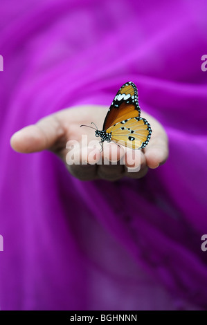 Danaus chrysippus. Plain Tiger butterfly on Indian girls hand. India Stock Photo