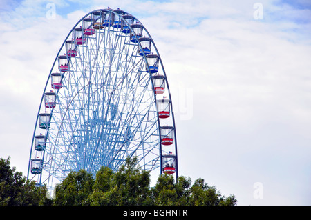 Dallas ferris wheel, Texas - the largest ferris wheel in the US Stock Photo