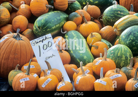 Pumpkins and melons for sale at Saturday morning Farmers Market in Downtown Des Moines, Iowa, USA Stock Photo