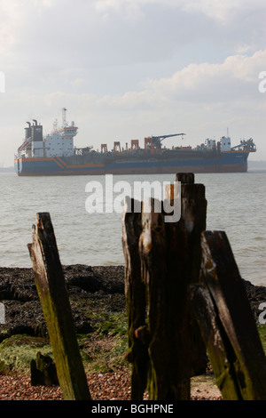 Cargo Container Ship Stumps of old piers Stock Photo - Alamy