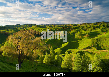 Farmland near Taihape, North Island, New Zealand Stock Photo