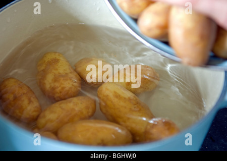 Potatoes in pan for boiling Stock Photo