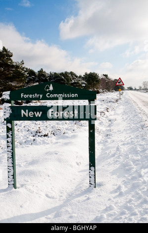 New Forest Hampshire in the Snow, taken near Stony Cross Hampshire England Stock Photo