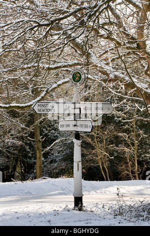 Signpost in the New Forest Hampshire in the snow near Minstead Stock Photo