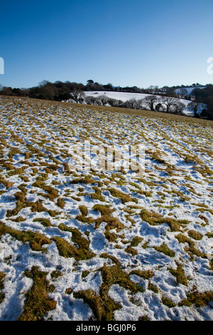 Melting Snow Field Stock Photo