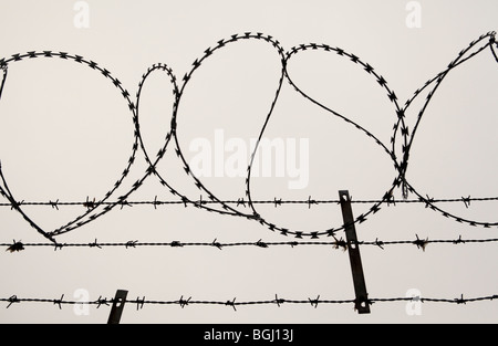 BARB WIRE Stock Photo - Alamy