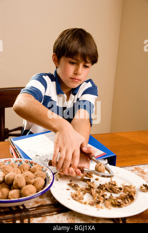 4th grade white boy cracking walnuts while doing his homework at the kitchen table. Stock Photo