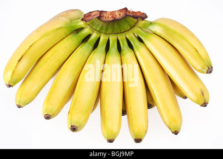 Bunch of bananas isolated on white background Stock Photo