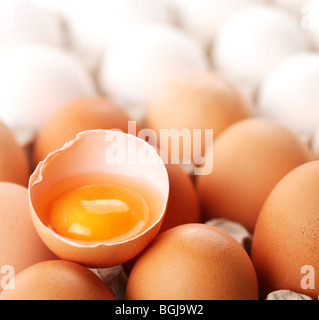 broken brown egg is among the whites of eggs. Stock Photo