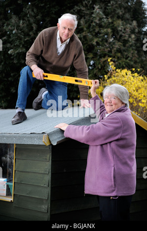 A retired man re-felting a shed roof UK Stock Photo 