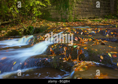 May Beck near Falling Foss waterfall in Autumn. Stock Photo