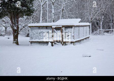 Snow covered chicken coup or hutch , Hampshire, England. Stock Photo