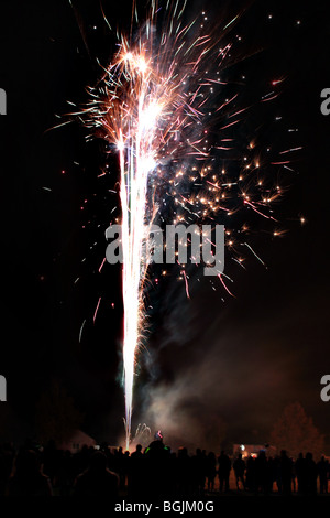 Public Firework display Stock Photo