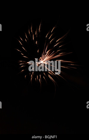 firework display in personal space on lawn in darkness in upright portrait format Stock Photo
